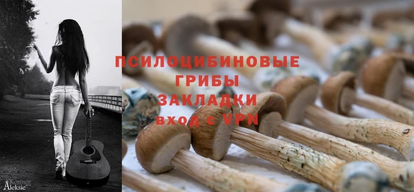 дмт Ладушкин
