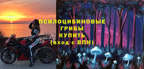 дмт Ладушкин