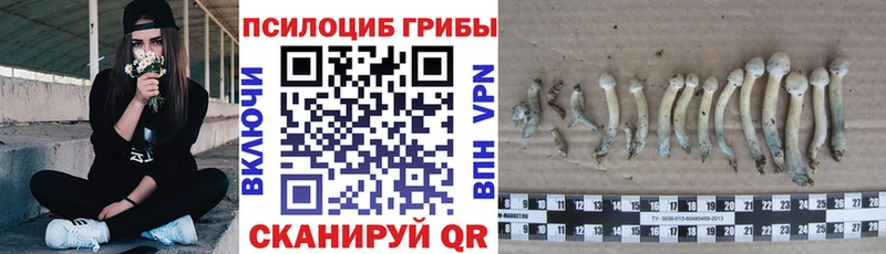 Галлюциногенные грибы MAGIC MUSHROOMS  Опочка 